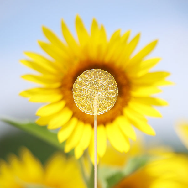 恵みのあめ ひまわり飴