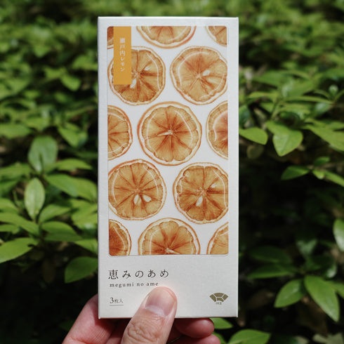 恵みのあめ(箱3枚入)